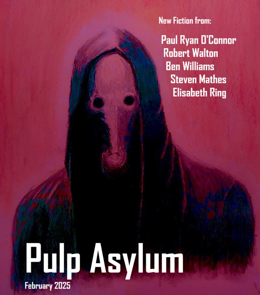 Against a wine-red backdrop is a hooded figure wearing a mask that is flat and featureless except for two round eyes. The magazine name, Pulp Asylum, is in the lower-lefthand corner, while the upper right corner features the five names of the issue's authors.